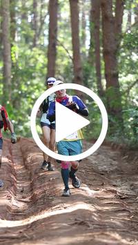 BIB:  <button type="button" onclick="openModal(26569587)" class="btn btn-primary btn-sm float-right" data-toggle="modal" data-target=".modal-high-quality">
                <i class="fa fa-download"></i> Download
                </button>